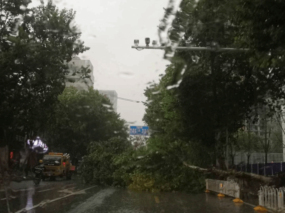 湖北明夜起又将迎来新一轮雨雪天气 转换时段主要在28日夜间