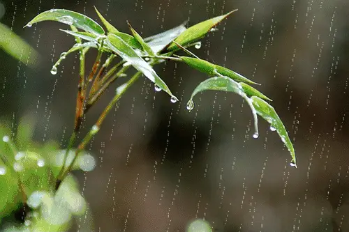 江西的“好日子”即将来了！周末气温飙升至24℃