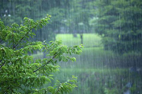 绍兴4日气温直逼20℃ 短暂晴朗后又迎来过程性降水