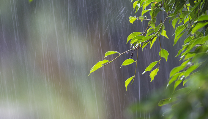 受西南暖湿气流影响今晚湖南有阵雨或雷阵雨