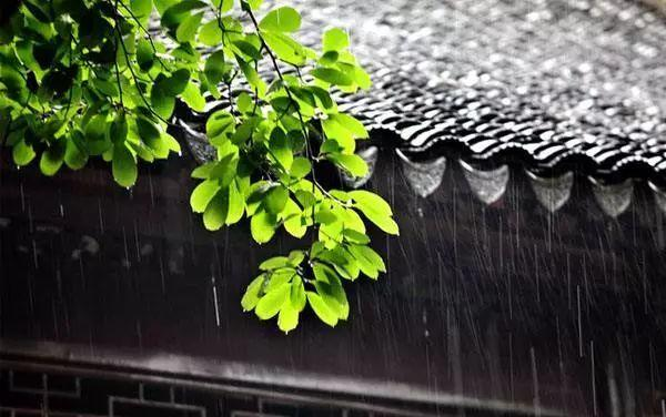 浙江雨水上线 中北部等地明天雨势较强伴有雷雨等强对流天气