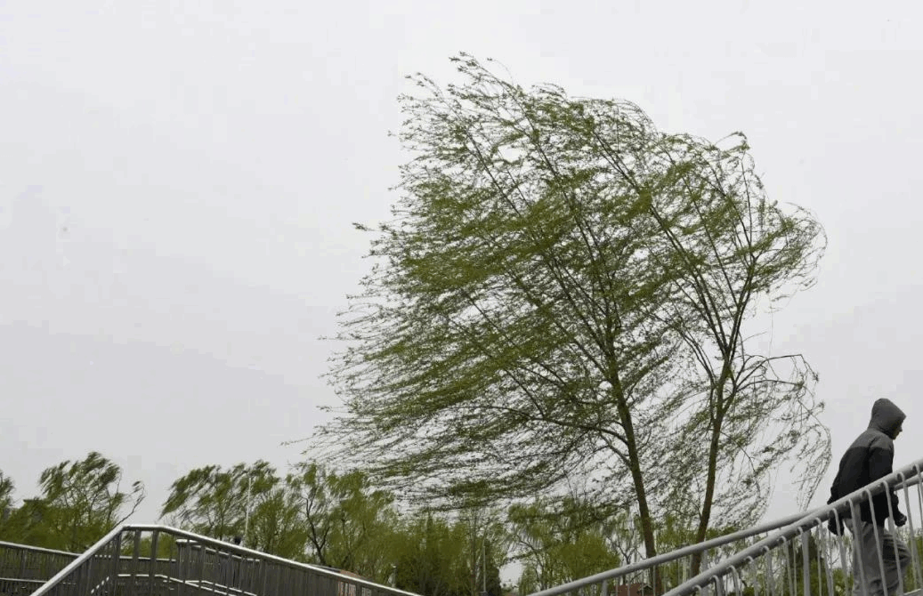 陕西未来三天将迎来弱雨雪+降温+大风 北部局地有沙尘