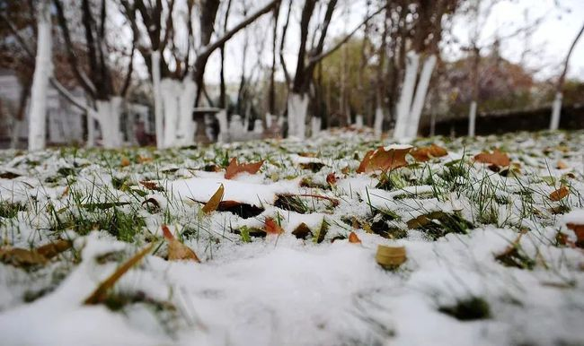 明天山东全省最低温跌破冰点 东营等地将迎来弱雨雪天气