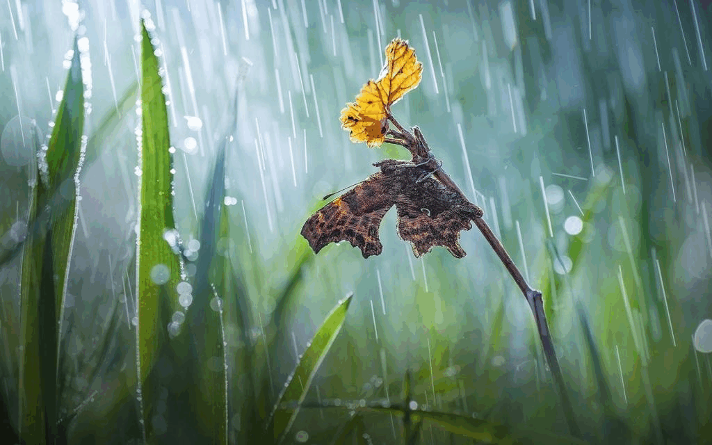 “阿南”走了“阿冷”来，广东未来三天雨水不停歇 