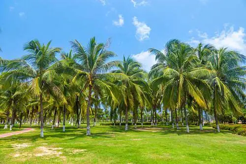 最高32℃，海南气温持续上升 明后天多地小雨