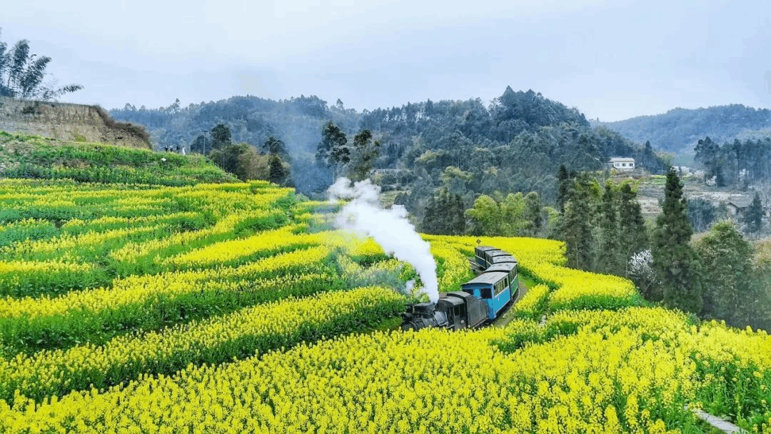 暖洋洋的四川“闪现”离开 今起三天四川阴雨缠绵