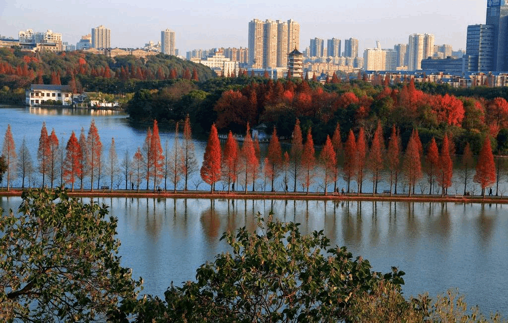 湖南今白天阳光明媚，晚起开始新一轮降水降温