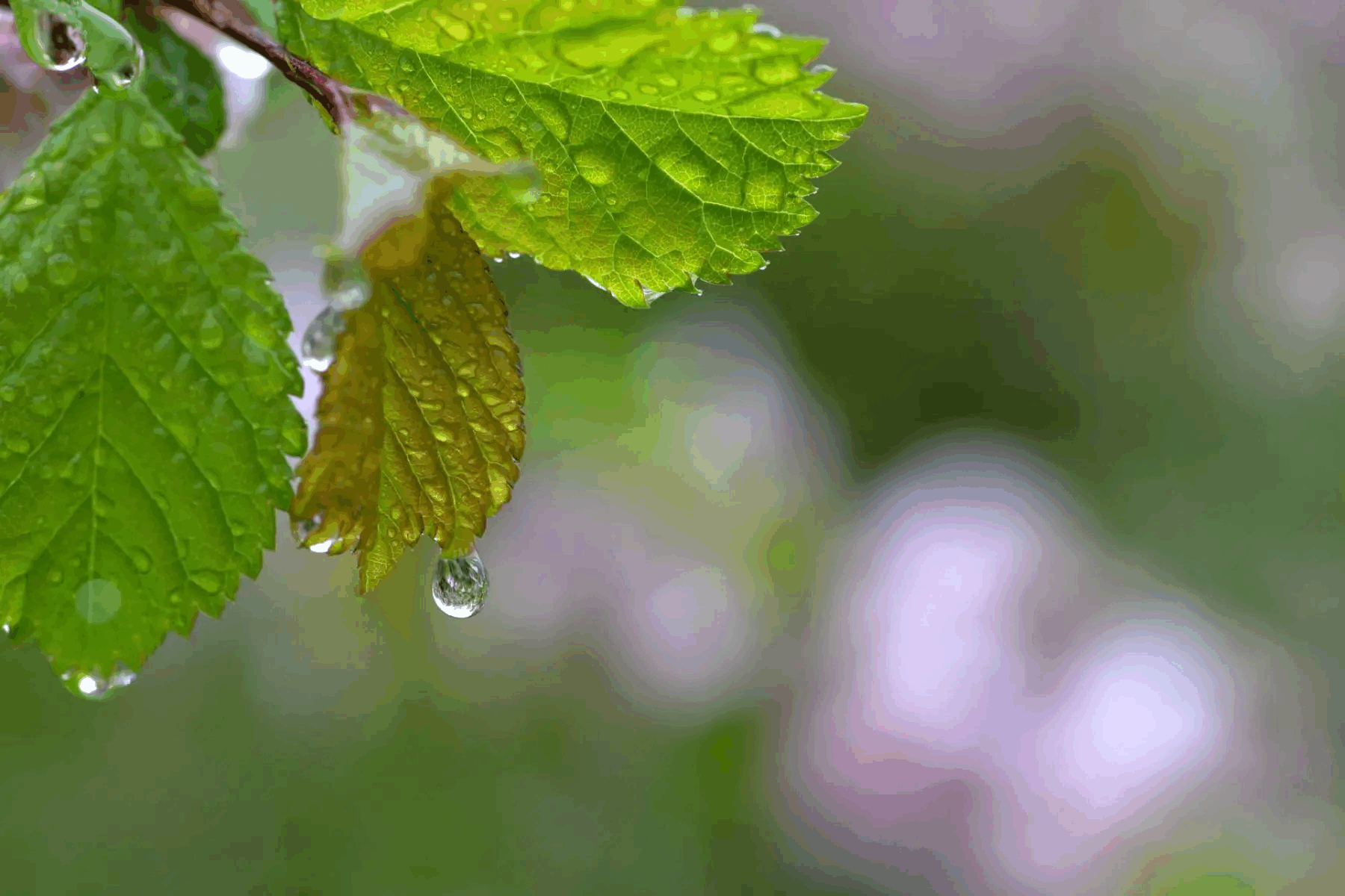 广西未来三天雨势逐渐增大 部分地区还将迎来回南天