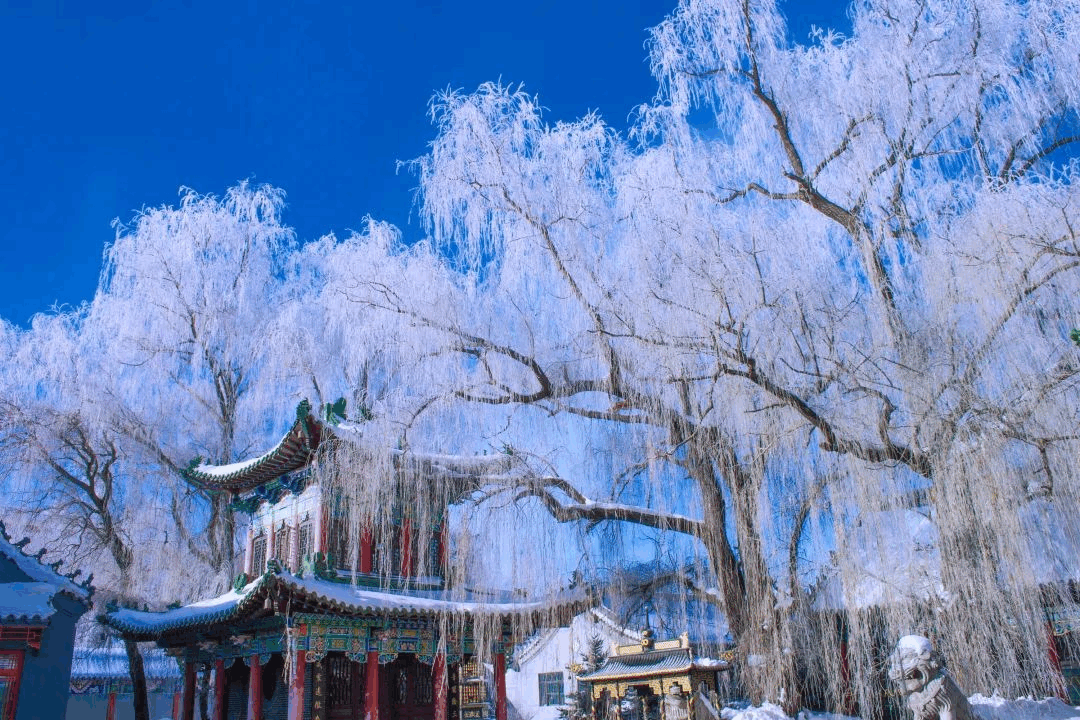 黑龙江雨雪天气再度来袭 哈尔滨、牡丹江等地有中到大雪