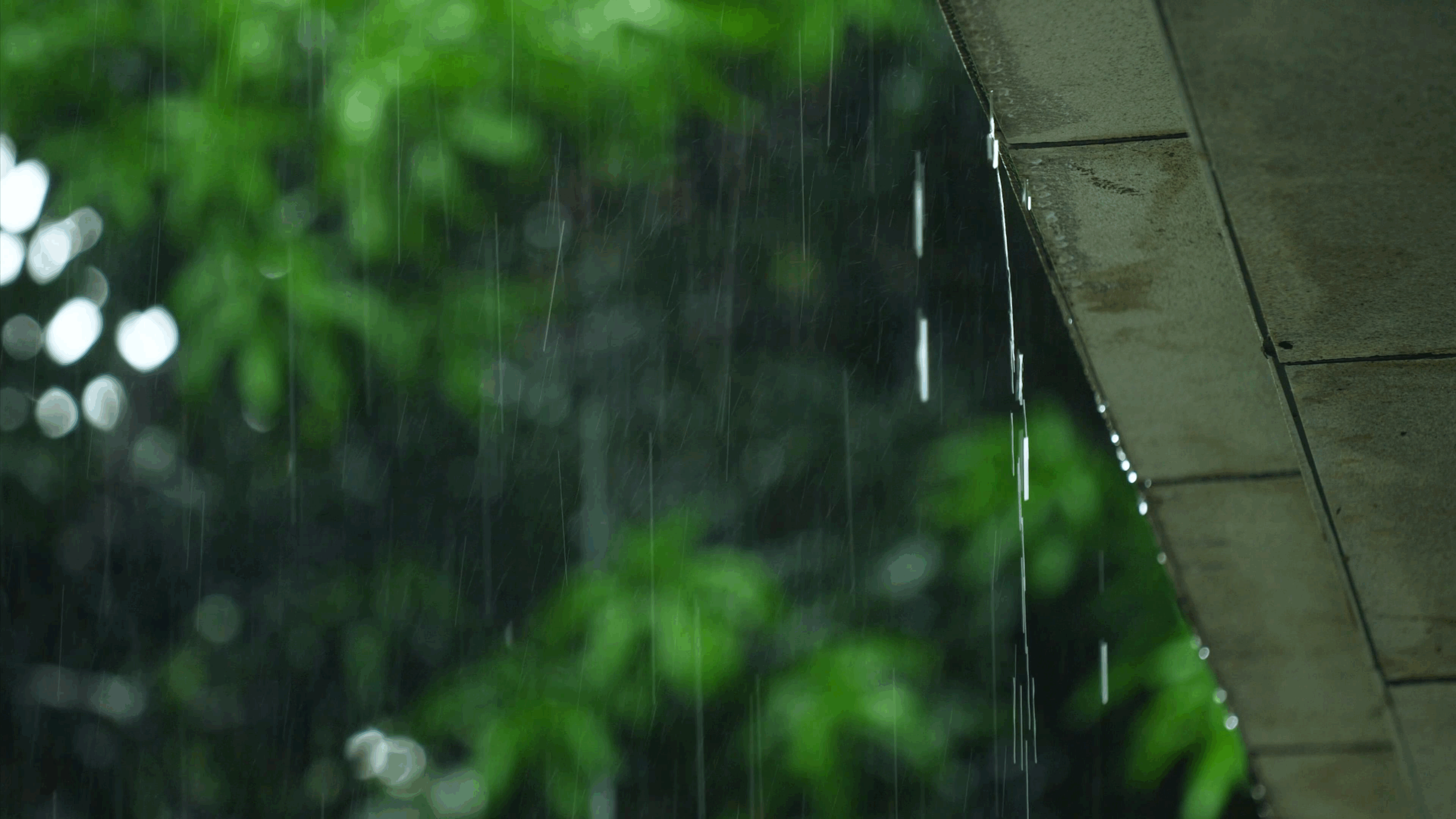 今明两天湖南大部分地区降雨为主 后天雨停转多云