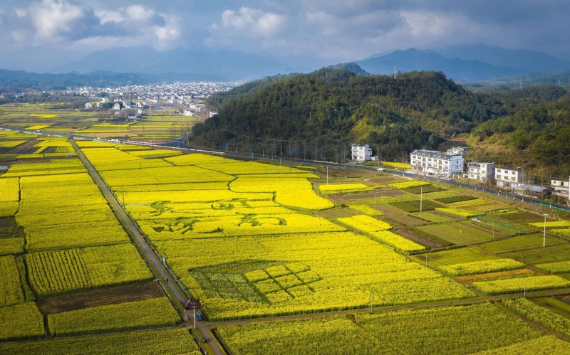 安徽周末两天将迎来大范围降水过程 江南西部、江北等地有大到暴雨