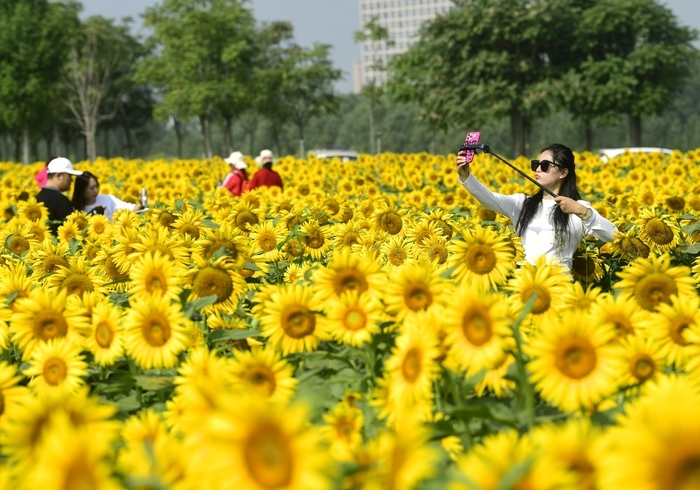 未来一周北方持续升温，江南、华南一带降水频繁