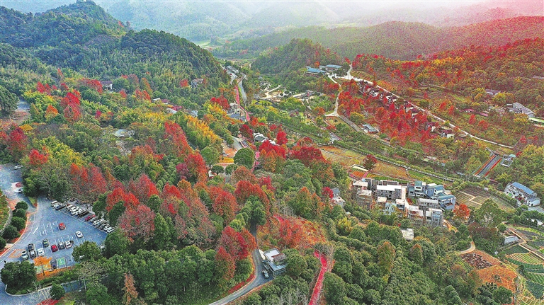 江西今明两天局部地区有雨 30日开始雨势增强