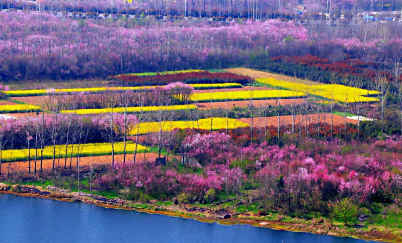 人间四月芳菲尽，湖南在频繁降水中迎来桃花盛开