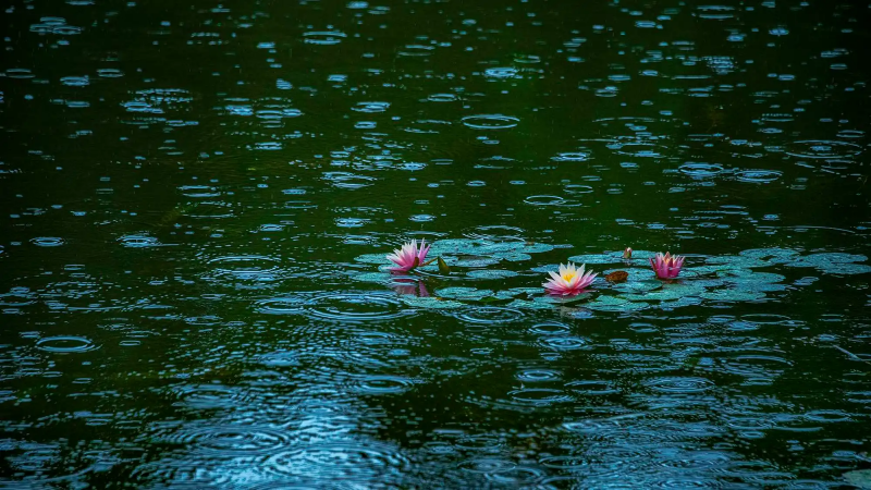 陕西今明两天雨水“来势汹汹”，偏北地区中到大雨伴有强对流天气