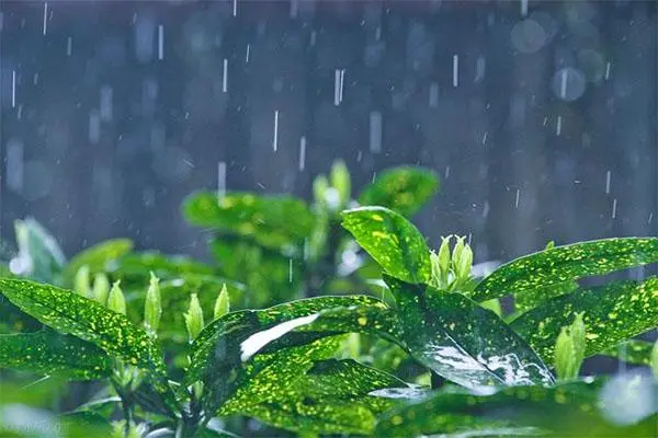 浙江今明两天大部分地区有阵雨或雷雨 局地有10级雷暴大风