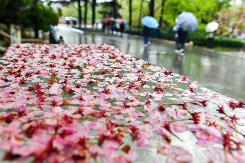 江西未来三天雷雨天气频繁，赣中北局部地区有大到暴雨