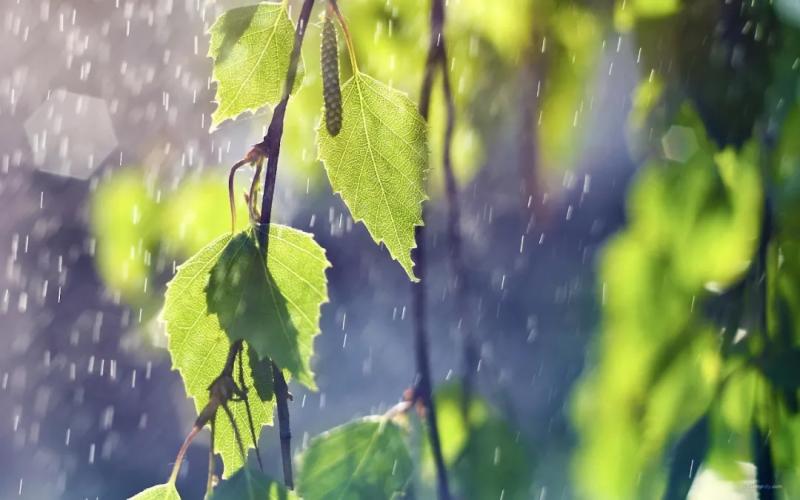 广东北部、珠三角地区未来三天有暴雨或大暴雨，伴有强对流天气