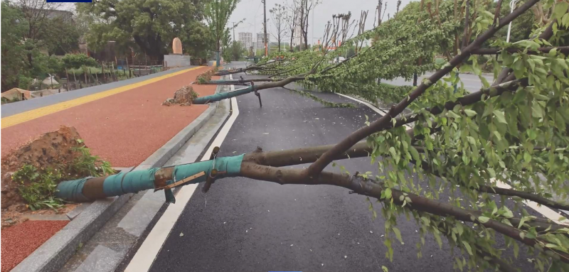 江西抚州等地今天持续狂风大雨+电闪雷鸣，明天雨势减弱