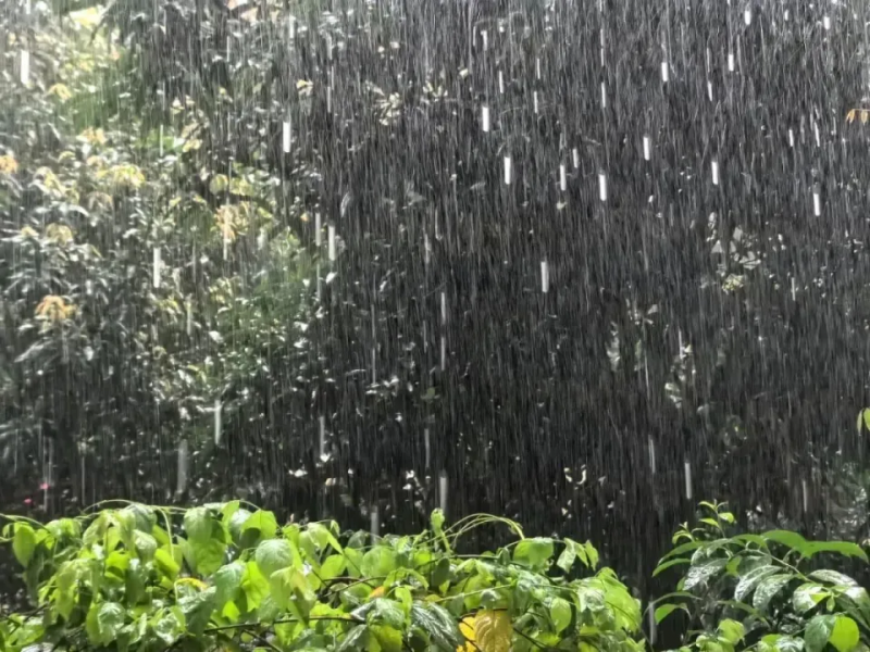 华南地区暴雨黄色预警！广东福建广西等地今天大暴雨特大暴雨上线