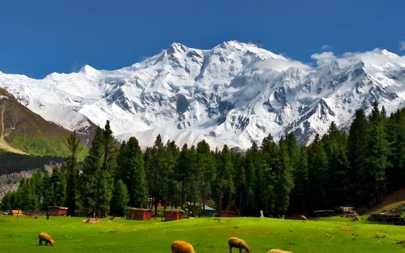 巴基斯坦旅游去哪里好，巴基斯坦旅游景点推荐