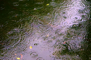 浙江今天全省降雨增强 浙西等地或有暴雨，明后天雨停晴天回归