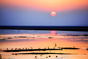 鄱阳湖风景旅游区旅游攻略 鄱阳湖景区介绍