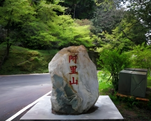 台湾阿里山景区有多美？阿里山景区介绍