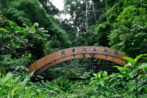 云南西双版纳原始森林公园旅游攻略，西双版纳原始森林公园景点介绍