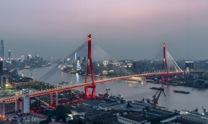 关于上海杨浦大桥的简介，杨浦大桥旅游攻略