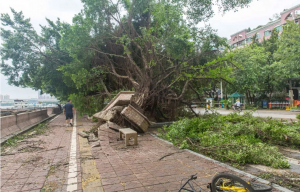 辽宁等多地强对流天气频发局地有12级大风，广西沿海发布风暴潮蓝色警报