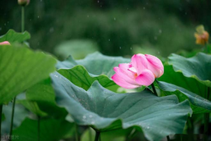 未来一周北方多地强降雨连续在线，东北多地暴雨频繁