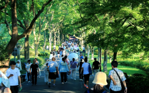 上海今天最高气温将达40℃，未来一周38℃高温天气持续在线