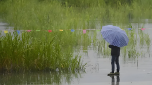 广西今晚到明天百色崇左局地大雨，最高气温普遍34℃以上局地37℃+