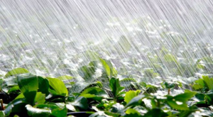 今明两天北方强降雨核心仍在陕甘宁一带，之后将会向东影响华北东北