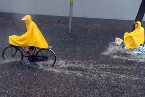 山东下午至明天白天多地雷雨大风明显，西北部等地有大到暴雨