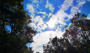 山东今晚至明天半岛等地还有雷雨在线，大部转晴间多云最高温33℃左右