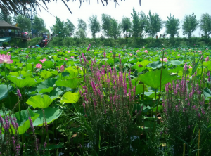 今天10省份地区继续发布暴雨蓝色预警，局地将有大暴雨