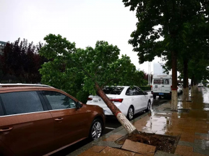 安徽今明两天雷雨频繁，沿淮淮河以南雨势较强今天有大到暴雨