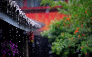 云南东南和西南部今明两天雨水频繁，丽江等多市州有大到暴雨