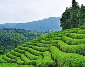 黔西南的著名景点，黔西南旅游必去景点