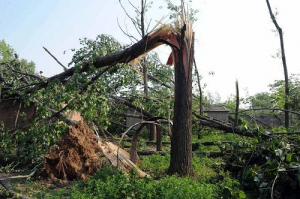 河北甘肃等多地发布大风蓝色预警，内陆最大风力7-8级海域将达11级