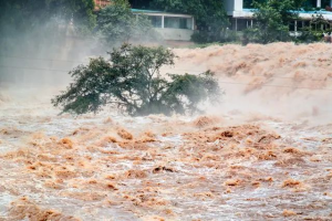 暴雨黄色预警更新：下午山东河北局地有特大暴雨！