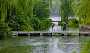 广东今起三天雷雨高温齐在线，珠三角等地雨势强劲有大到暴雨