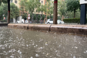 注意防雨防风！内蒙古今天多地风雨强势有大到暴雨局地8-9级大风