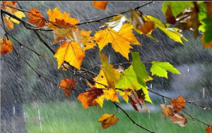 陕西今晚大部多云局地有阵雨，明天多地有分散性小雨