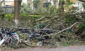 台风“摩羯”今天仍将影响华南多地出现极端强风暴雨