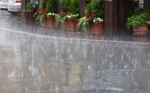 河南郑州等多地今白天阵雨频繁，明天中东部有中雨局地6级阵风