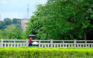 重庆中心城区今天晴最高气温38℃，明后天高温依旧最高气温达40℃