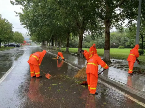 台风“贝碧嘉”残余影响豫鲁有大暴雨，新台风明后天又将影响华东沿海